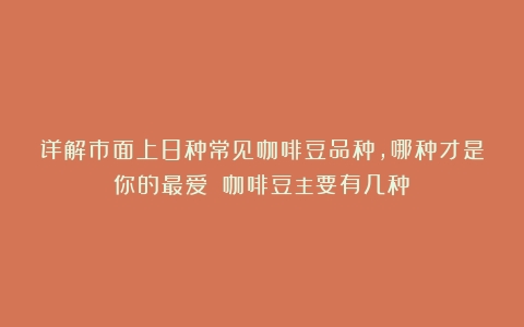 详解市面上8种常见咖啡豆品种，哪种才是你的最爱？（咖啡豆主要有几种）