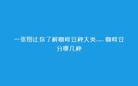 一张图让你了解咖啡豆种大类……（咖啡豆分哪几种）