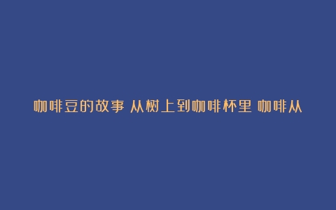 咖啡豆的故事：从树上到咖啡杯里（咖啡从树上到咖啡豆怎么制作的图片）