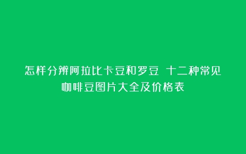 怎样分辨阿拉比卡豆和罗豆？（十二种常见咖啡豆图片大全及价格表）