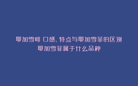 耶加雪啡：口感、特点与耶加雪菲的区别（耶加雪菲属于什么品种）