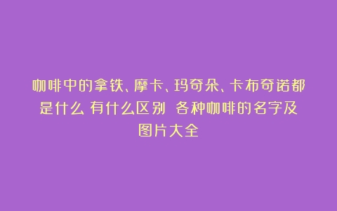 咖啡中的拿铁、摩卡、玛奇朵、卡布奇诺都是什么？有什么区别？（各种咖啡的名字及图片大全）