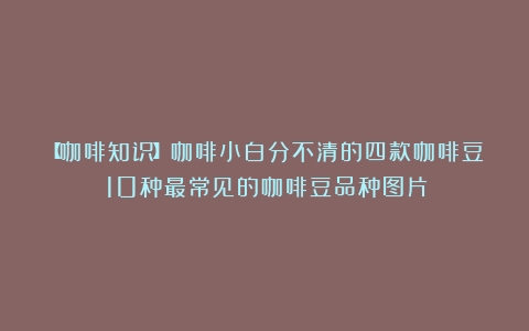 【咖啡知识】咖啡小白分不清的四款咖啡豆（10种最常见的咖啡豆品种图片）