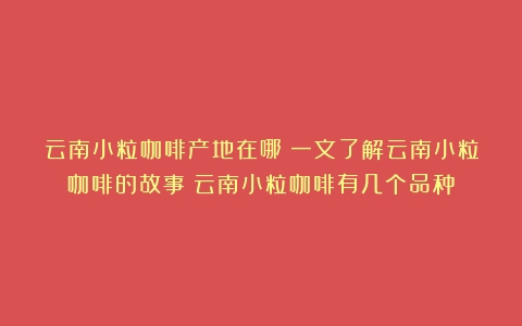 云南小粒咖啡产地在哪？一文了解云南小粒咖啡的故事（云南小粒咖啡有几个品种）