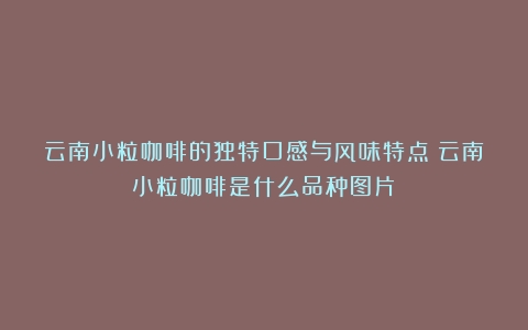 云南小粒咖啡的独特口感与风味特点（云南小粒咖啡是什么品种图片）