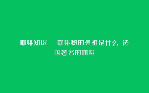 咖啡知识 | 咖啡树的鼻祖是什么？（法国著名的咖啡）