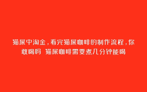 猫屎中淘金，看完猫屎咖啡的制作流程，你敢喝吗？（猫屎咖啡需要煮几分钟能喝）