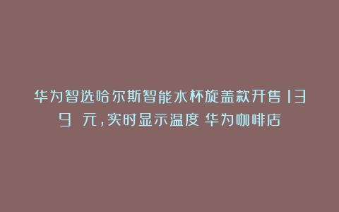 华为智选哈尔斯智能水杯旋盖款开售：139 元，实时显示温度（华为咖啡店）