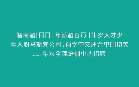 智商超180，年薪超百万！14岁天才少年入职马斯克公司，自学中文还会中国功夫……（华为全球培训中心招聘）