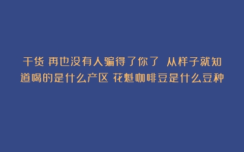 干货｜再也没有人骗得了你了 从样子就知道喝的是什么产区（花魁咖啡豆是什么豆种）