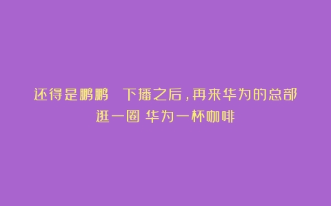 还得是鹏鹏！ 下播之后，再来华为的总部逛一圈（华为一杯咖啡）