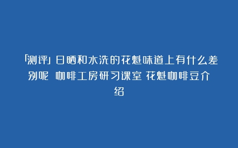 「测评」日晒和水洗的花魁味道上有什么差别呢？｜咖啡工房研习课室（花魁咖啡豆介绍）