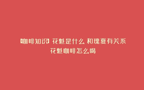 【咖啡知识】花魁是什么？和瑰夏有关系？（花魁咖啡怎么喝）