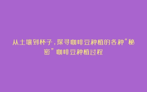 从土壤到杯子，探寻咖啡豆种植的各种“秘密”（咖啡豆种植过程）