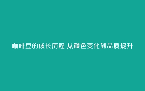 咖啡豆的成长历程：从颜色变化到品质提升（咖啡豆成本价怎么算）