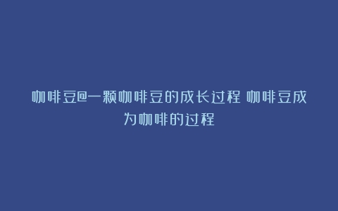 咖啡豆@一颗咖啡豆的成长过程（咖啡豆成为咖啡的过程）