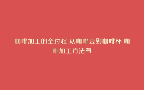 咖啡加工的全过程：从咖啡豆到咖啡杯（咖啡加工方法有）