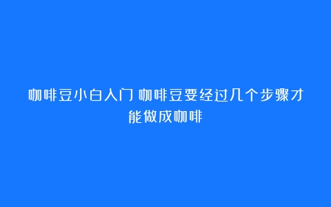 咖啡豆小白入门（咖啡豆要经过几个步骤才能做成咖啡）