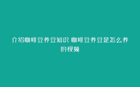 介绍咖啡豆养豆知识（咖啡豆养豆是怎么养的视频）