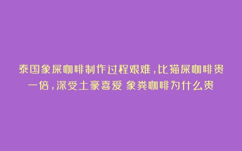 泰国象屎咖啡制作过程艰难，比猫屎咖啡贵一倍，深受土豪喜爱（象粪咖啡为什么贵）