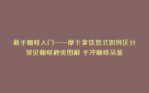 新手咖啡入门——摩卡拿铁意式如何区分？常见咖啡种类图解（手冲咖啡品鉴）