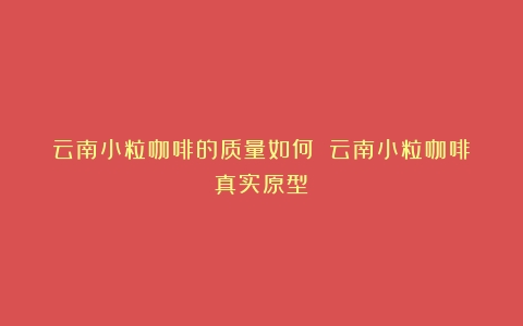 云南小粒咖啡的质量如何？（云南小粒咖啡真实原型）