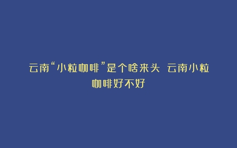 云南“小粒咖啡”是个啥来头？（云南小粒咖啡好不好）