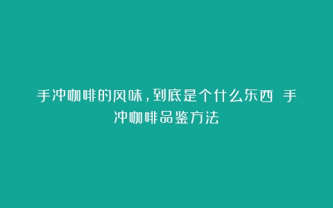 手冲咖啡的风味，到底是个什么东西？（手冲咖啡品鉴方法）