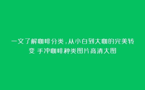 一文了解咖啡分类，从小白到大咖的完美转变（手冲咖啡种类图片高清大图）