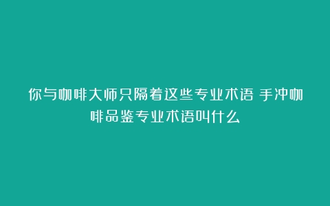 你与咖啡大师只隔着这些专业术语（手冲咖啡品鉴专业术语叫什么）