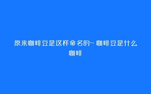 原来咖啡豆是这样命名的~（咖啡豆是什么咖啡）