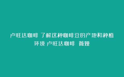 卢旺达咖啡：了解这种咖啡豆的产地和种植环境（卢旺达咖啡 薇娅）