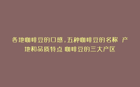 各地咖啡豆的口感,五种咖啡豆的名称 产地和品质特点（咖啡豆的三大产区）