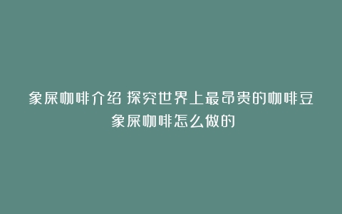 象屎咖啡介绍：探究世界上最昂贵的咖啡豆（象屎咖啡怎么做的）