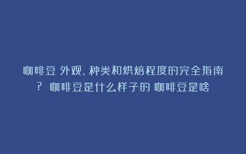 咖啡豆：外观、种类和烘焙程度的完全指南? 咖啡豆是什么样子的（咖啡豆是啥）