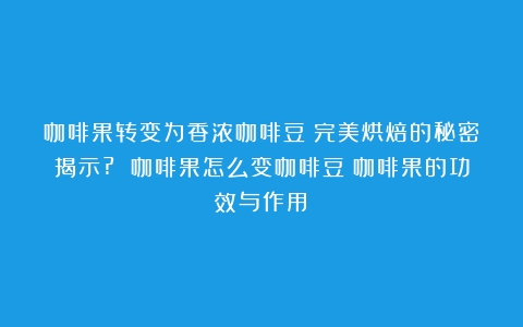 咖啡果转变为香浓咖啡豆：完美烘焙的秘密揭示? 咖啡果怎么变咖啡豆（咖啡果的功效与作用）