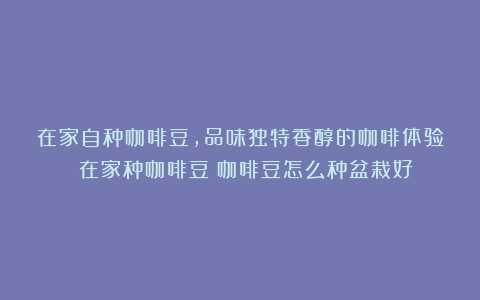 在家自种咖啡豆，品味独特香醇的咖啡体验 在家种咖啡豆（咖啡豆怎么种盆栽好）