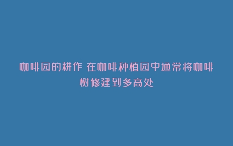 咖啡园的耕作（在咖啡种植园中通常将咖啡树修建到多高处）