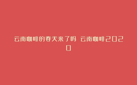 云南咖啡的春天来了吗？（云南咖啡2020）