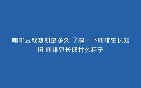 咖啡豆成熟期是多久？了解一下咖啡生长知识（咖啡豆长成什么样子）