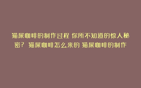 猫屎咖啡的制作过程：你所不知道的惊人秘密? 猫屎咖啡怎么来的（猫屎咖啡的制作）