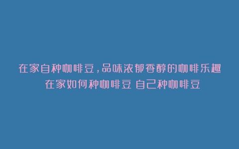 在家自种咖啡豆，品味浓郁香醇的咖啡乐趣 在家如何种咖啡豆（自己种咖啡豆）