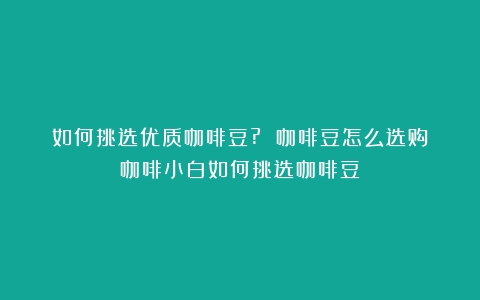 如何挑选优质咖啡豆? 咖啡豆怎么选购（咖啡小白如何挑选咖啡豆）