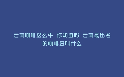 云南咖啡这么牛 你知道吗？（云南最出名的咖啡豆叫什么）