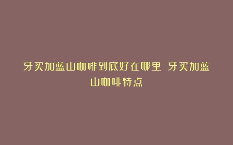 牙买加蓝山咖啡到底好在哪里？（牙买加蓝山咖啡特点）