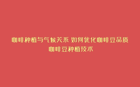 咖啡种植与气候关系：如何优化咖啡豆品质（咖啡豆种植技术）