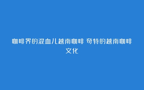 咖啡界的混血儿越南咖啡（奇特的越南咖啡文化）