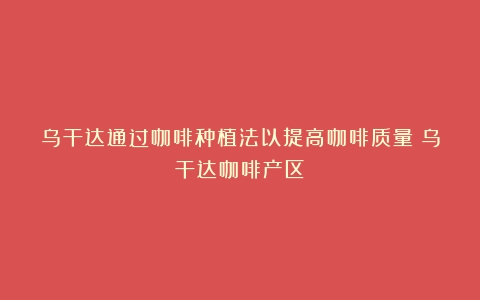 乌干达通过咖啡种植法以提高咖啡质量（乌干达咖啡产区）