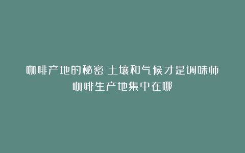 咖啡产地的秘密｜土壤和气候才是调味师（咖啡生产地集中在哪）