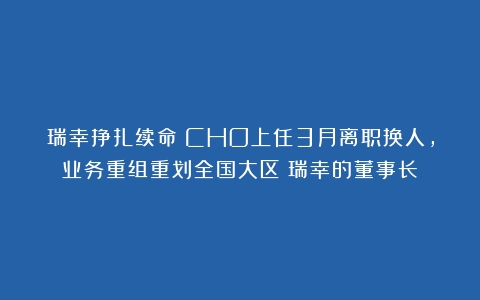 瑞幸挣扎续命：CHO上任3月离职换人，业务重组重划全国大区（瑞幸的董事长）